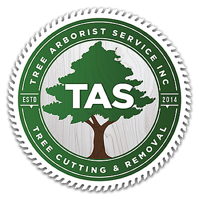 Tree Arborist Service