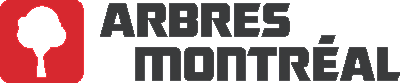 Arbres Montréal / Montreal Trees